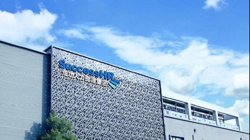 瑞人云助力成功人力 打造人力資源服務數智化高質量發展引擎